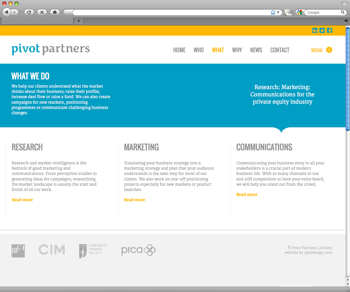 Pivot Partners - what